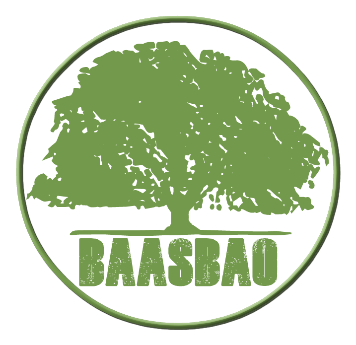 Logo baasbao